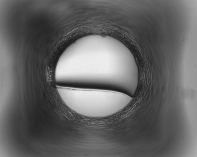 X0000087561490200704270916