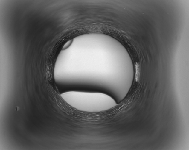 X0000087561491200704270916