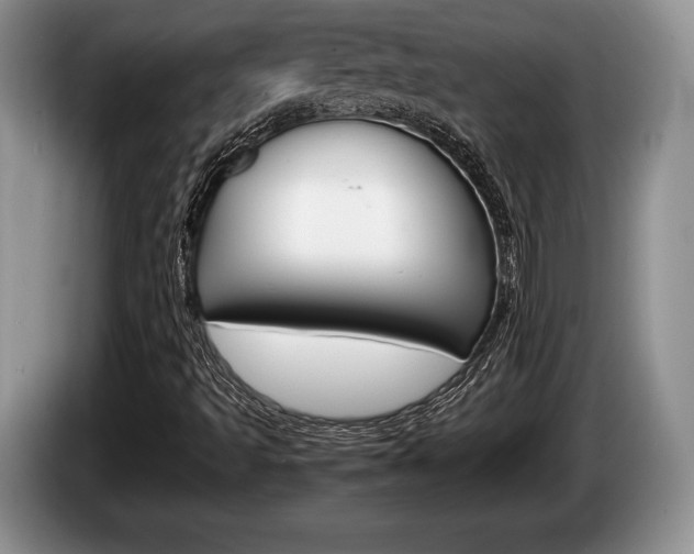 X0000087561493200704270916