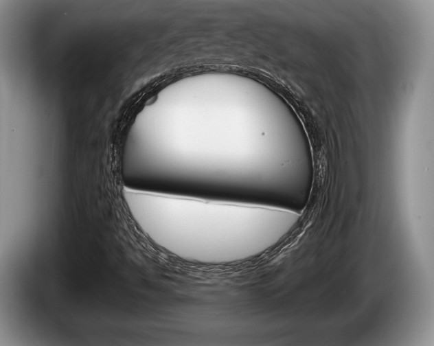 X0000087561494200704270916