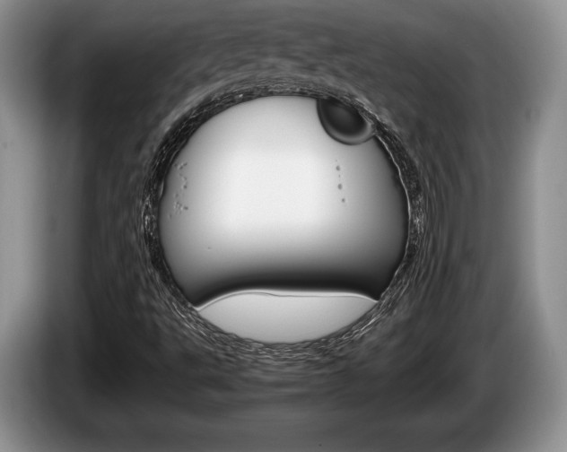 X0000087561495200704270916