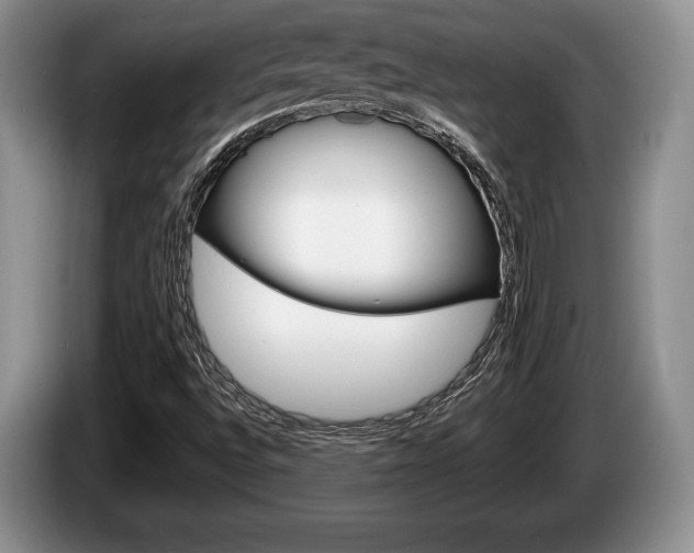X0000087561496200704270916