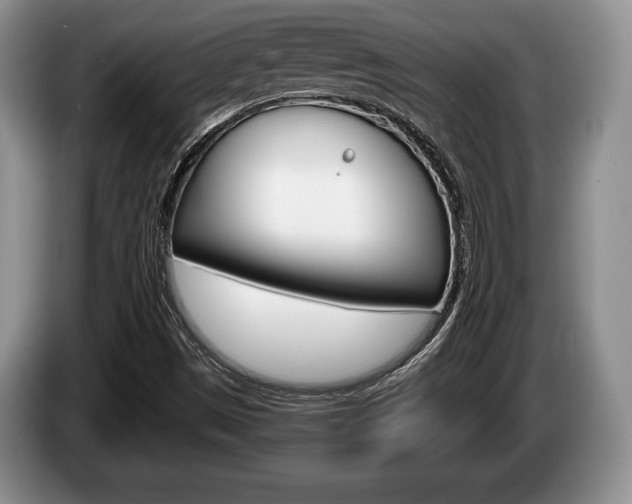 X0000087561497200704270916