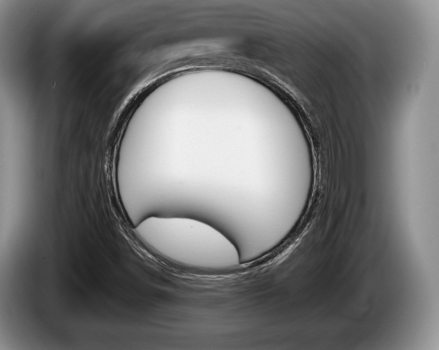 X0000087561498200704270916