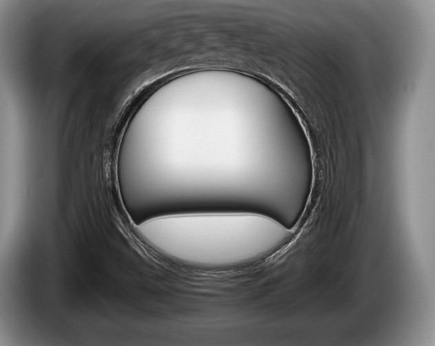 X0000087561499200704270916