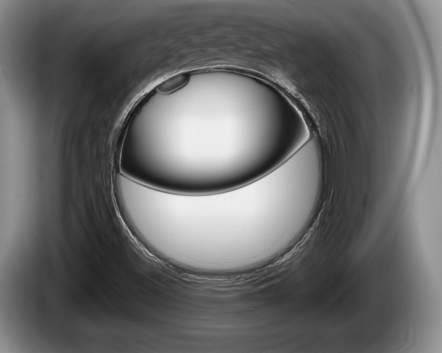 X0000087561500200704270916