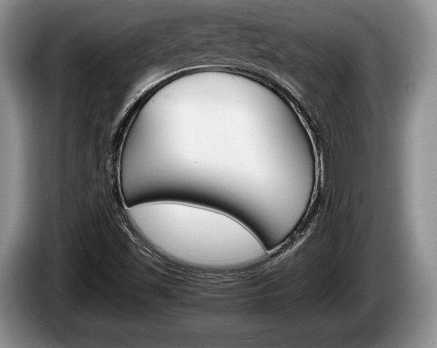 X0000087561501200704270916