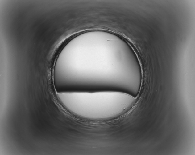 X0000087561503200704270916