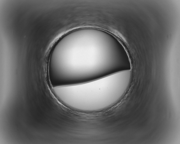 X0000087561504200704270916