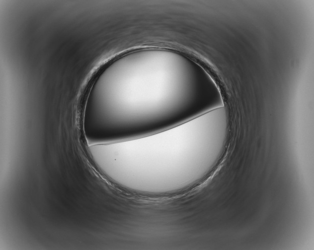 X0000087561506200704270916