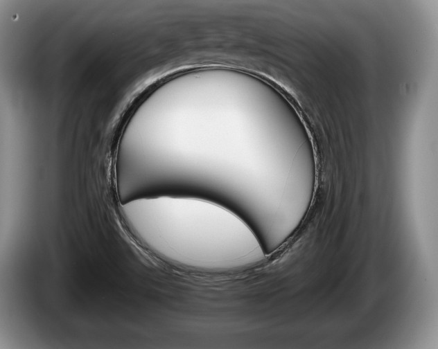 X0000087561507200704270916