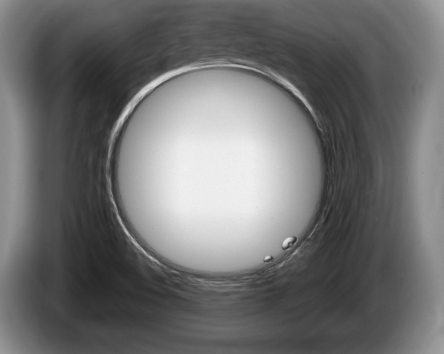 X0000087561508200704270916