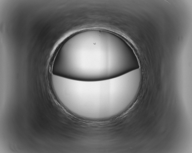 X0000087561510200704270917