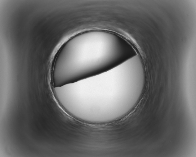 X0000087561512200704270917