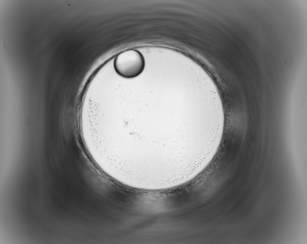 X0000087561514200704270917