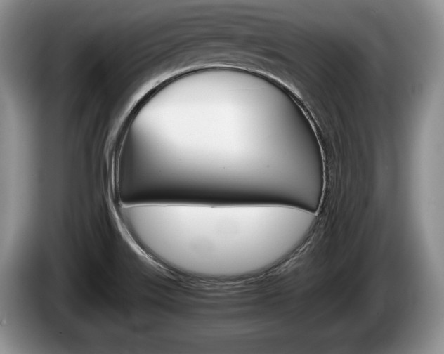 X0000087561515200704270917