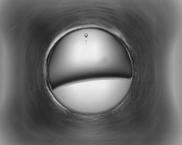 X0000087561516200704270917