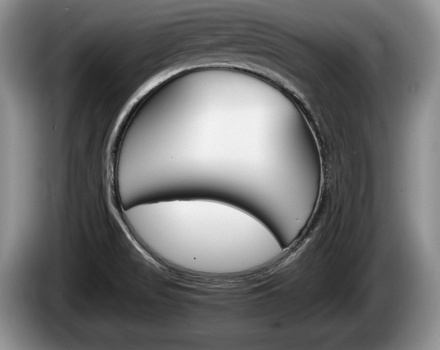 X0000087561517200704270917