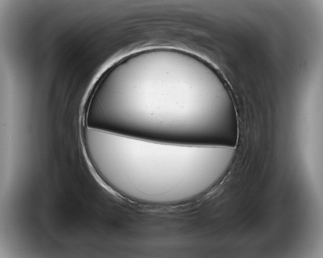 X0000087561519200704270917