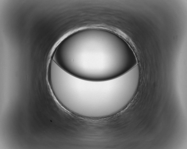 X0000087561520200704270917