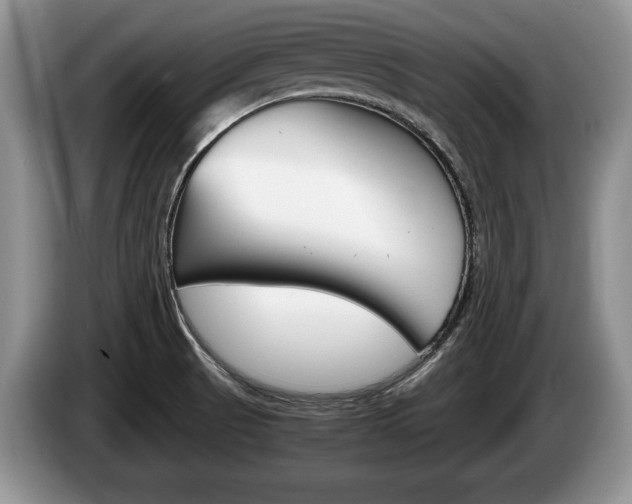 X0000087561521200704270917