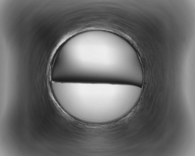 X0000087561522200704270917