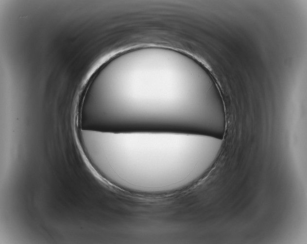 X0000087561523200704270917