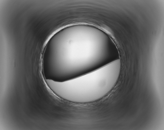 X0000087561524200704270917