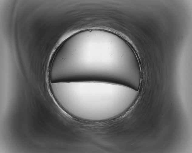 X0000087561525200704270917