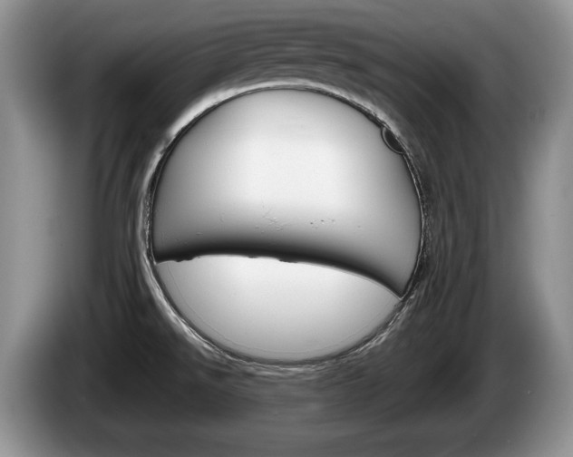 X0000087561526200704270917