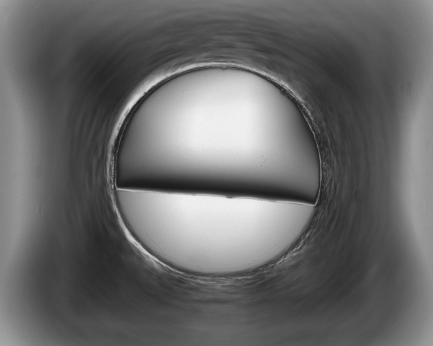 X0000087561527200704270917