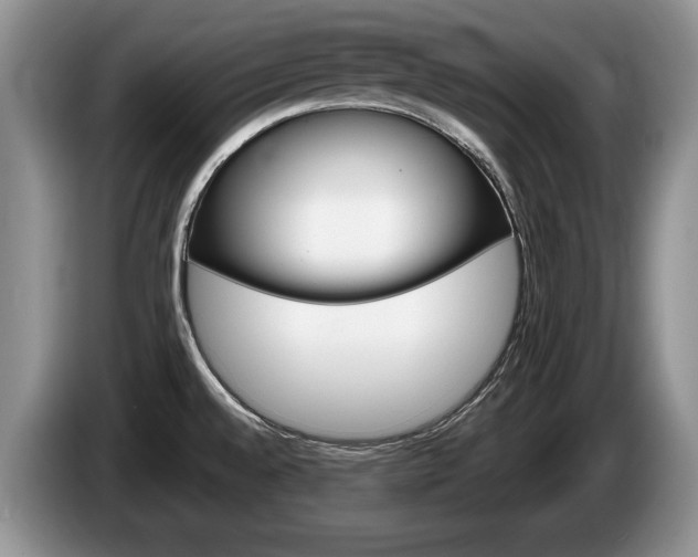 X0000087561528200704270917
