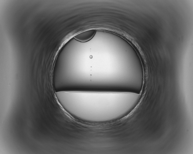 X0000087561529200704270917