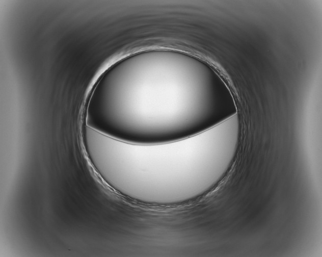 X0000087561530200704270917