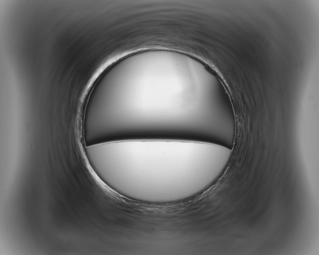 X0000087561531200704270917