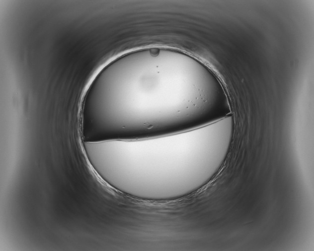 X0000087561532200704270917