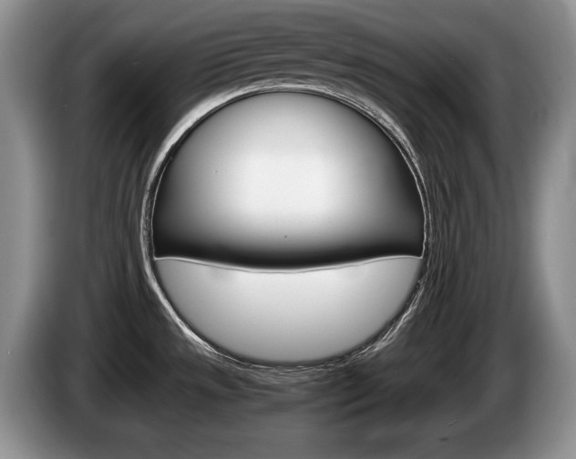 X0000087561533200704270917