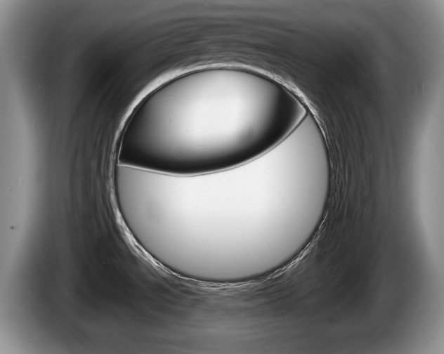 X0000087561534200704270917