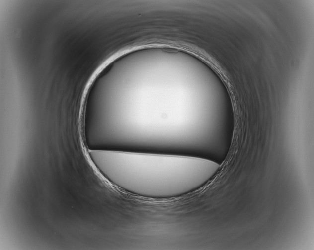 X0000087561536200704270917