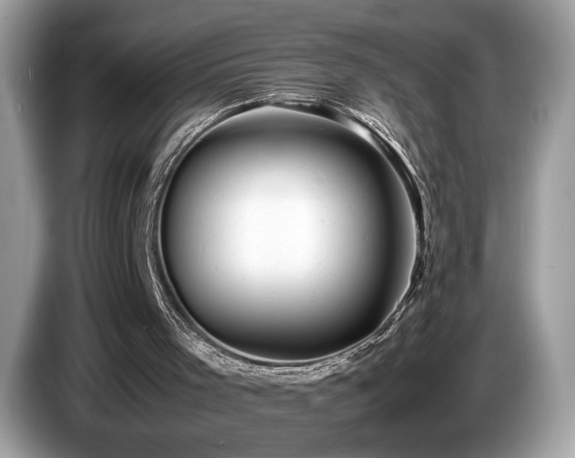 X0000087560001200704271234