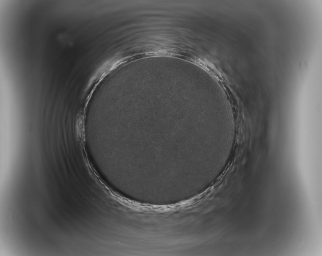 X0000087560002200704271234