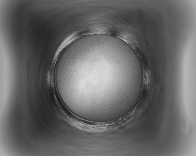 X0000087560004200704271234