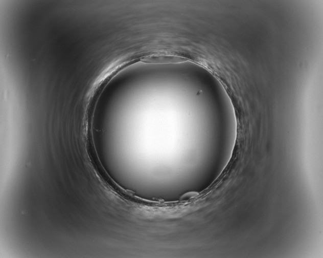 X0000087560005200704271234