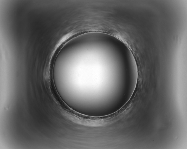 X0000087560008200704271234