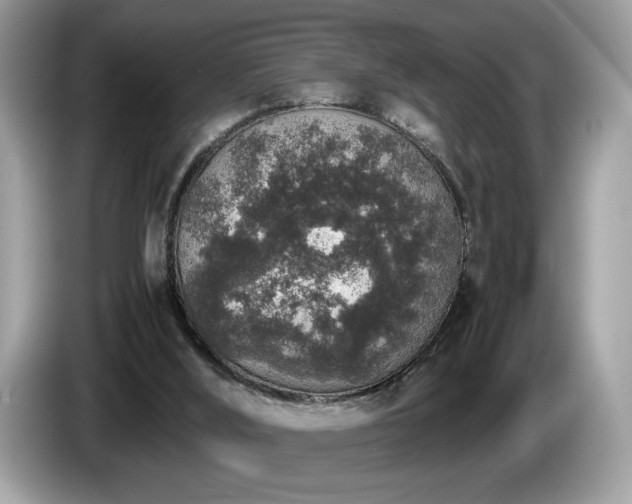 X0000087560012200704271234