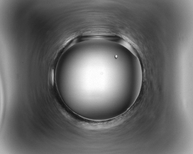 X0000087560013200704271234