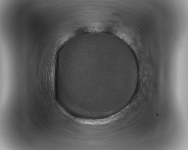 X0000087560017200704271234
