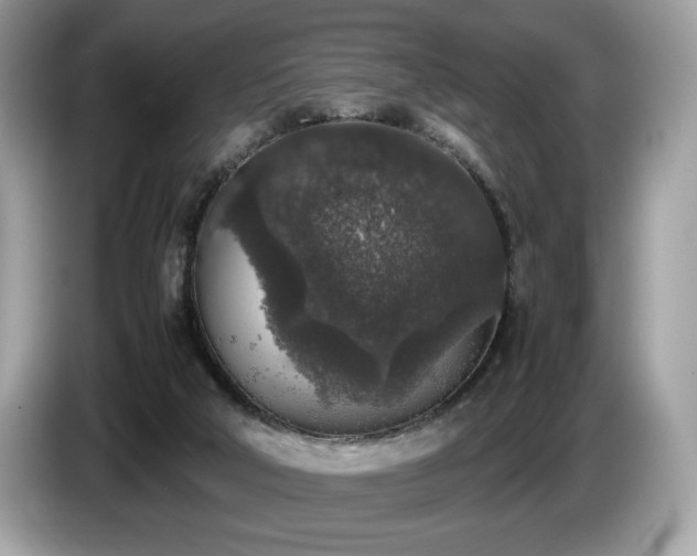 X0000087560018200704271234
