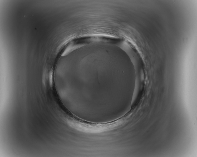 X0000087560019200704271234