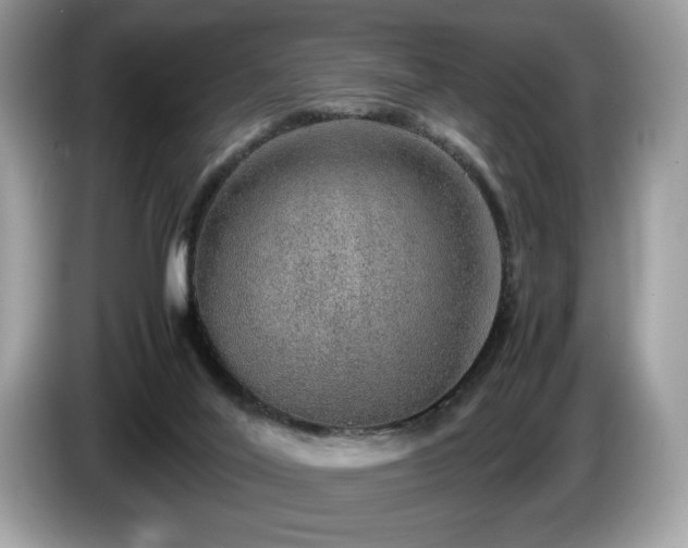X0000087560020200704271234
